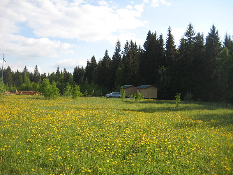 Дачный участок