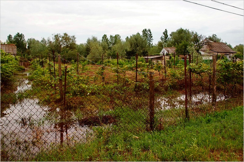 Пример глинистого участка для которого требуется произвести дренаж.