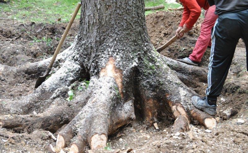 А вот с этим придется потрудиться