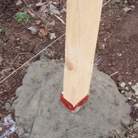 Деревянные столбы для забора – качество, проверенное временем