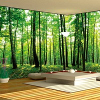 Как поклеить фотообои: советы о том, как преобразить свой коттедж